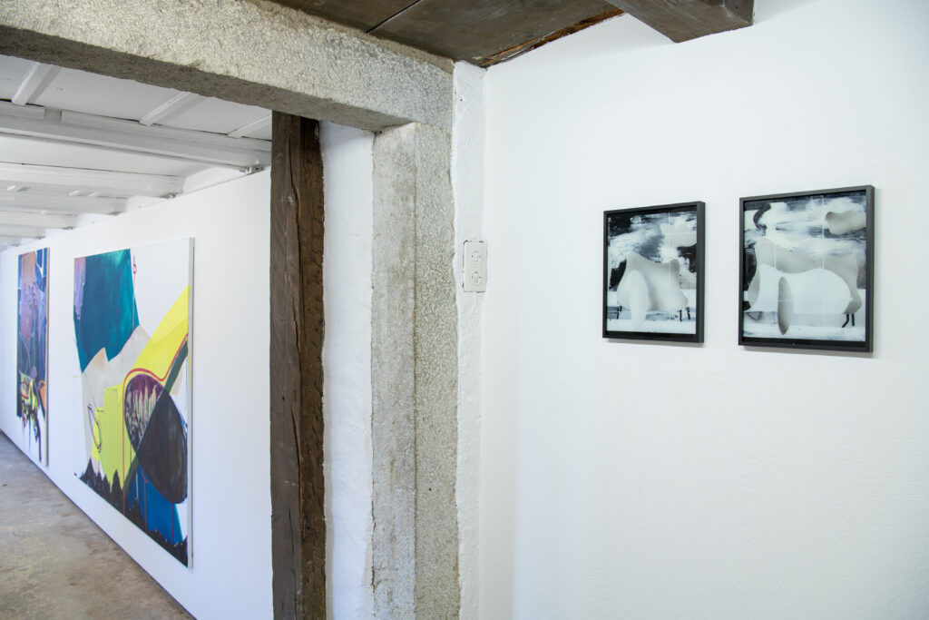 Blick in die Ausstellung von Jakob Rieder und Sebastian Haas. Fotos: Katrin Brunner, bild-schoen.net